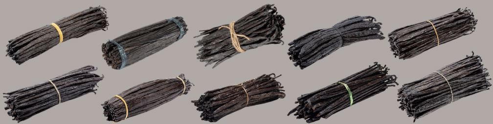 Choosing the Best Vanilla Bean Variety for Cooking