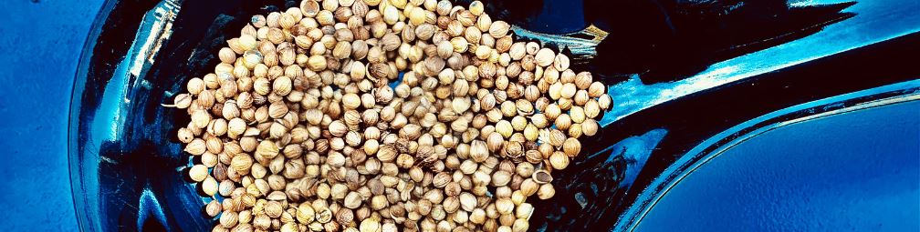 Exploring the Flavor Profile of Coriander