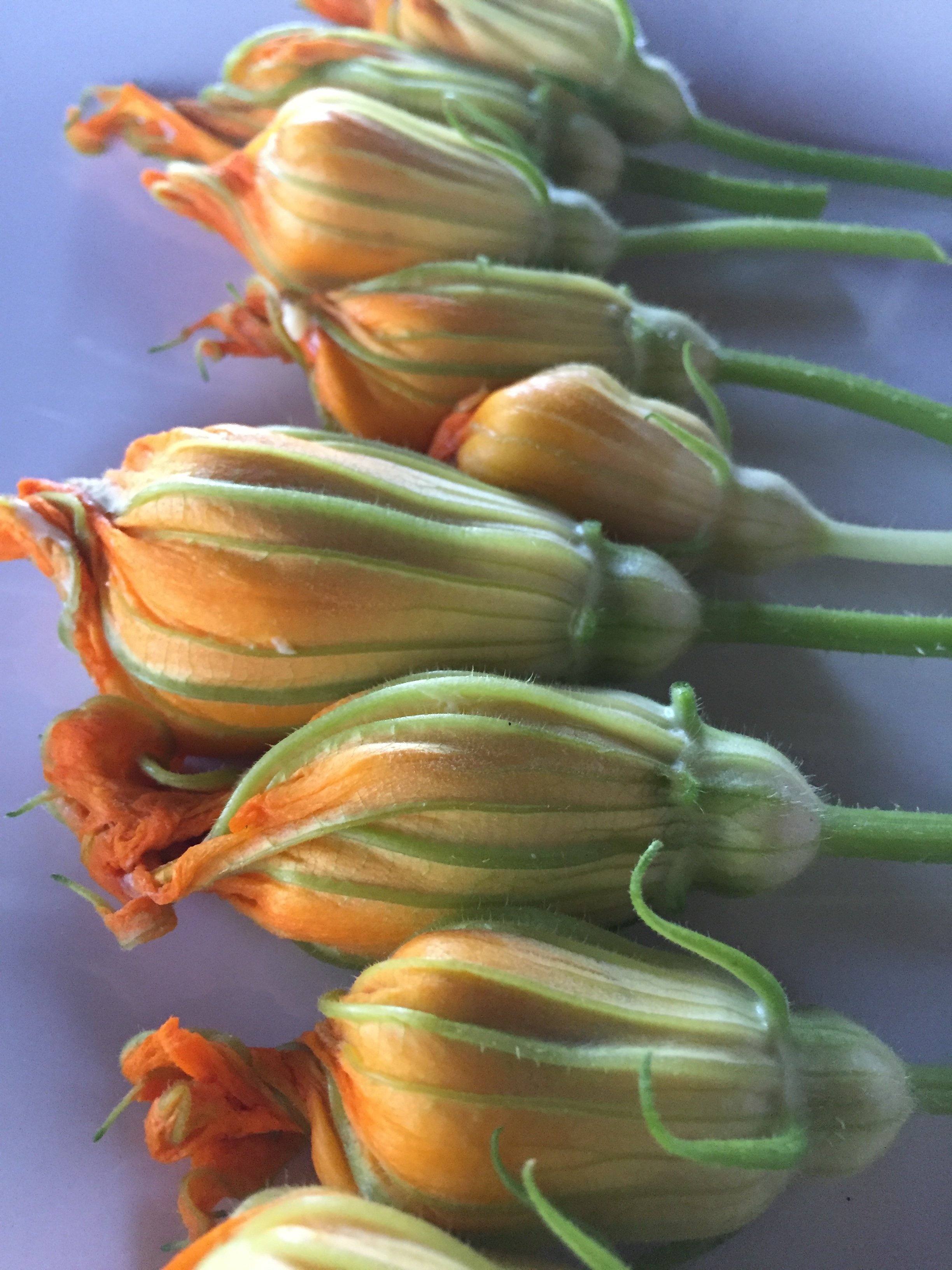 Saffron & Mascarpone Stuffed Squash Blossoms