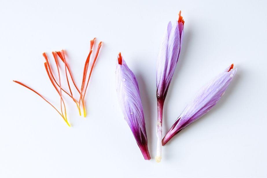 The Health Benefits of Saffron