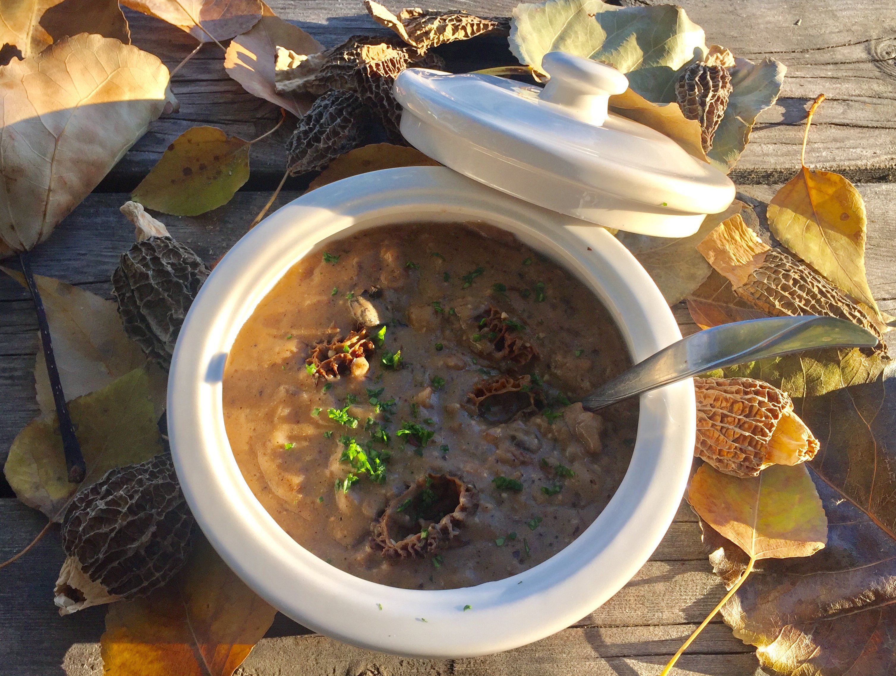 Vegan and Gluten Free Stroganoff with Morel Mushrooms