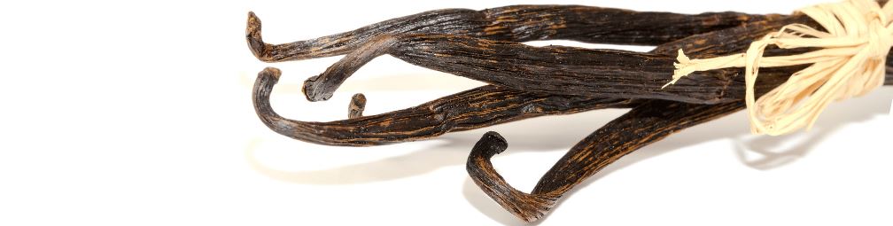 What are Vanilla Beans
