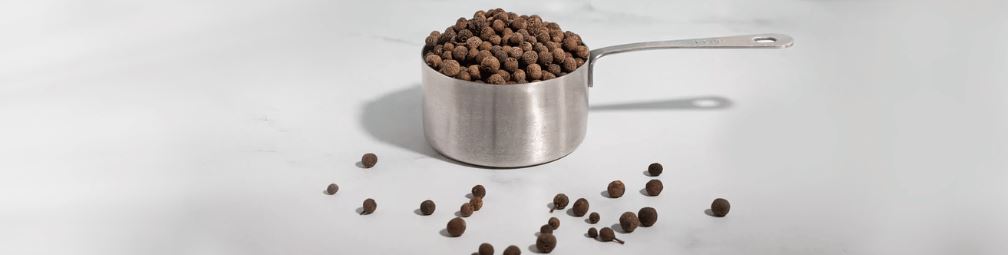 What is Allspice?