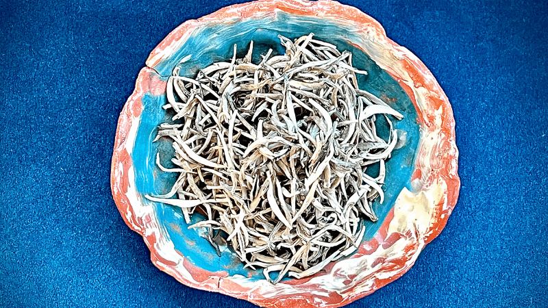 What Is Silver Tipped White Tea