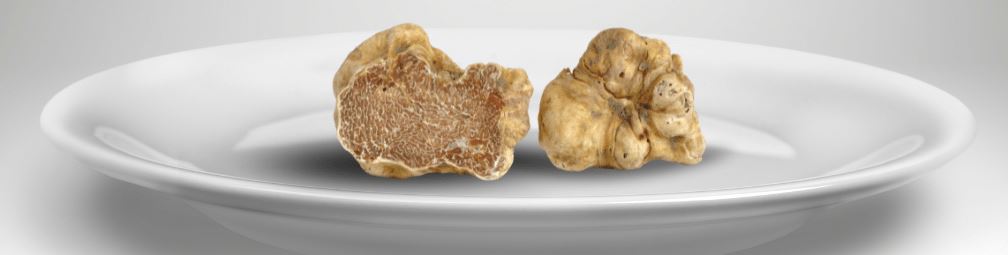 Why Is Italian White Truffle Expensive?