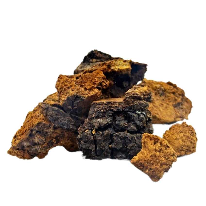 Dried Wild-Sourced Chaga Mushrooms Dried black trumpet mushrooms Slofoodgroup 