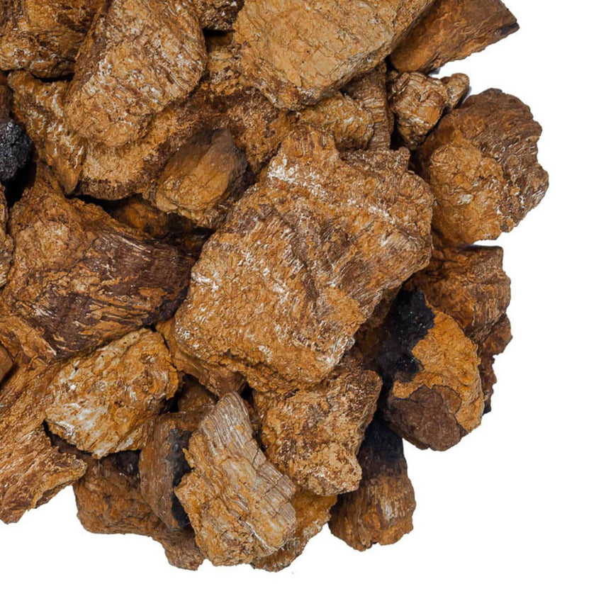 Dried Wild-Sourced Chaga Mushrooms Dried black trumpet mushrooms Slofoodgroup 