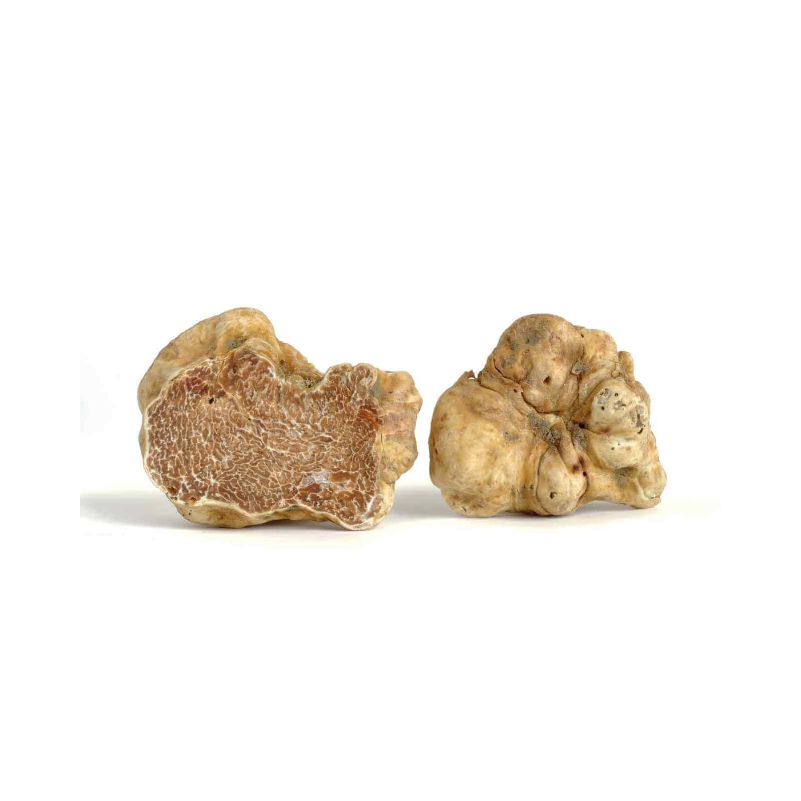 Alba White Truffles For Sale- Buy Gourmet Fresh White Truffles Online
