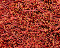 Bunch Saffron, Dasteh Saffron from Afghanistan spices Slofoodgroup 