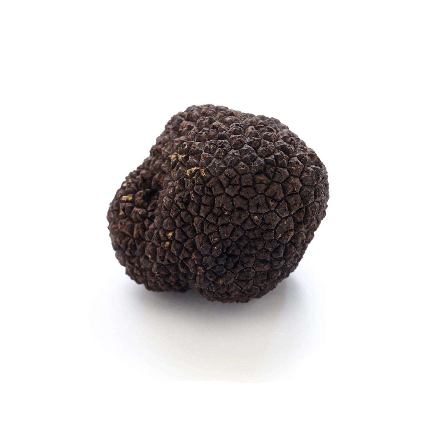 Slofoodgroup Black Truffles, Preserved Whole Black Truffles Tuber Aestivum Preserved in Brine 30 Gram Net Weight Truffles - Truffle Mushroom Gourm